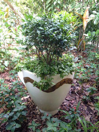 Jacob Ballas Children's Garden