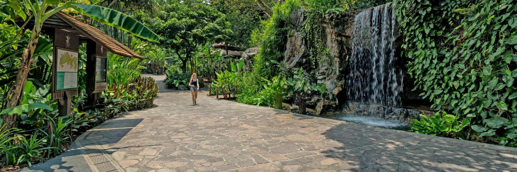 Botanische tuin van Singapore